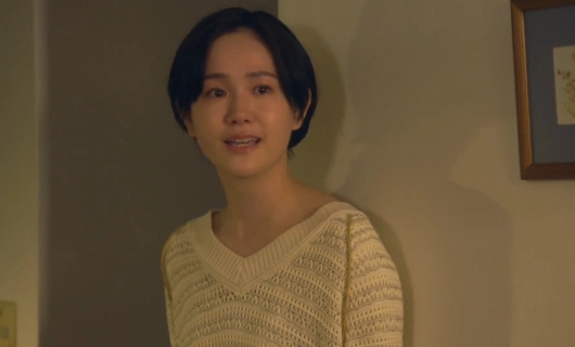 Шкаф Золушки 5 серия