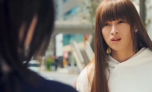 Шкаф Золушки 7 серия