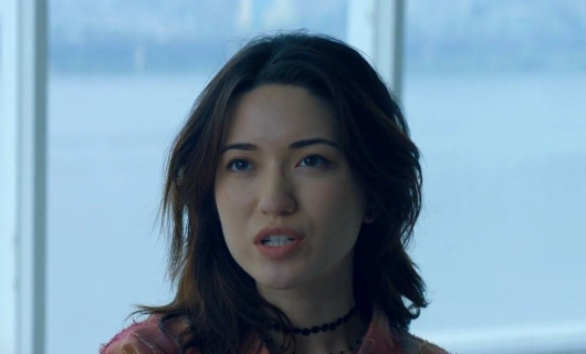 Бабочка 6 серия