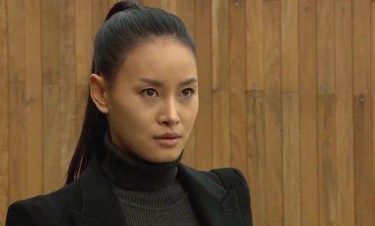 АЙРИС 16 серия