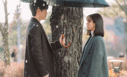 Мой сосед — Кумихо 8 серия