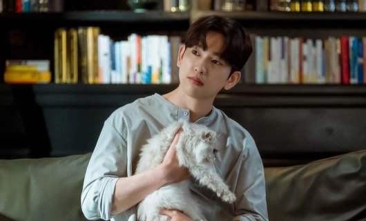 Дьявольский судья 7 серия