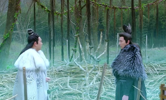 Книга гор и морей 36 серия