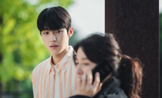 Инспектор Гу 8 серия