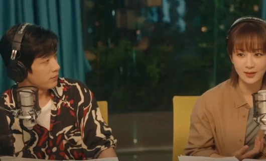 Психолог 24 серия