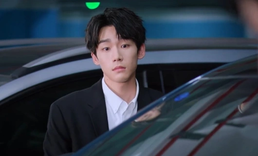 Поймать бабочку 26 серия