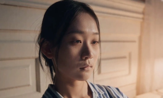 Теневой детектив 16 серия