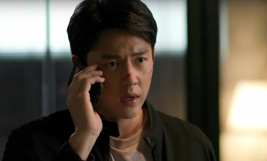 Игра с законом 17 серия