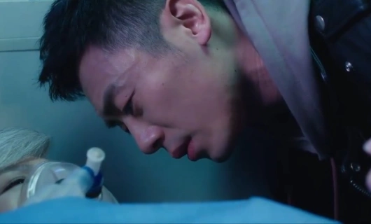 Секрет льва 19 серия