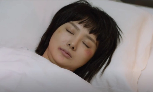 Секрет льва 6 серия