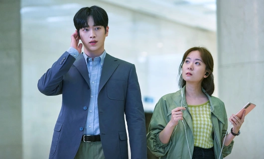 Сетка 5 серия