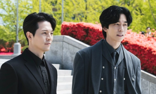 Доктор-адвокат 10 серия