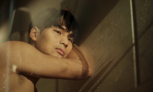 КиннПорш 9 серия