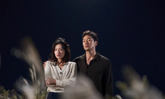 Мой дневник освобождения 11 серия