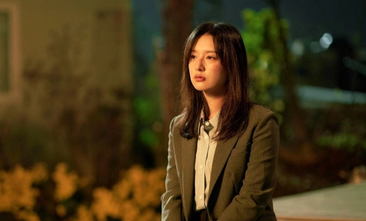 Мой дневник освобождения 13 серия