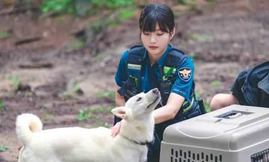 Неожиданный деревенский дневник 1 серия