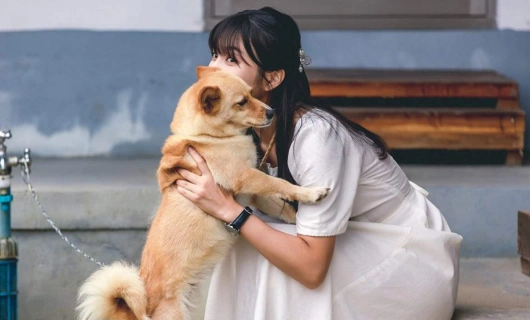 Неожиданный деревенский дневник 12 серия