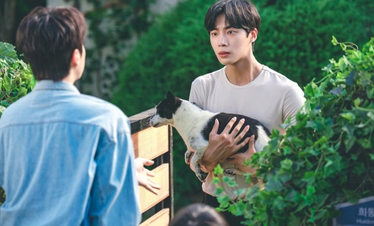 Неожиданный деревенский дневник 5 серия