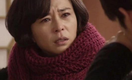 Будет ли снег на рождество? 14 серия