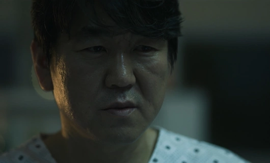 Теневой детектив 6 серия