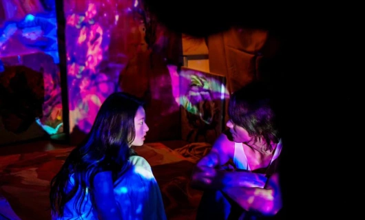 Летние цветы 10 серия