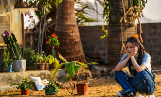 Летние цветы 11 серия