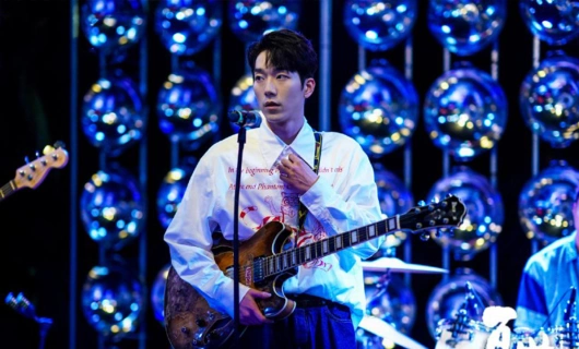 Летние цветы 13 серия