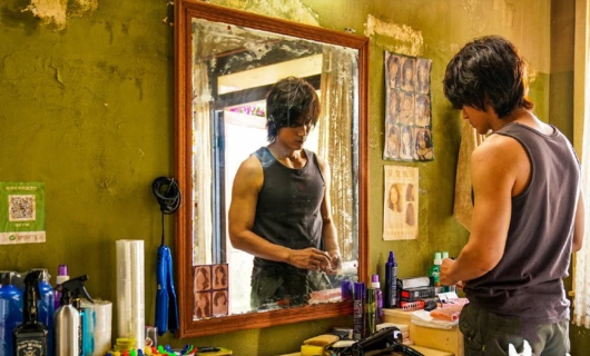 Летние цветы 16 серия