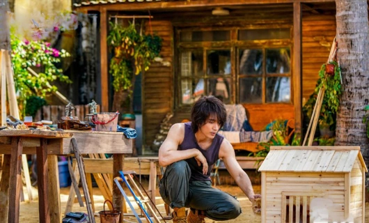 Летние цветы 17 серия