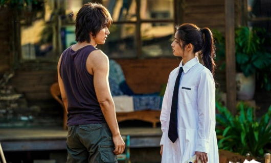 Летние цветы 20 серия