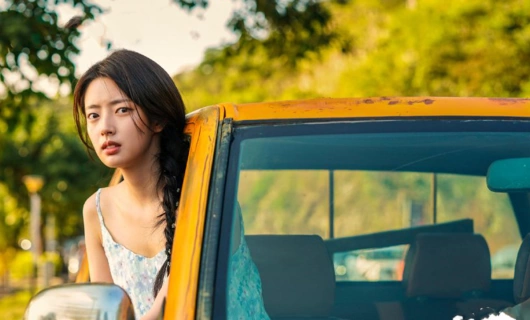 Летние цветы 6 серия