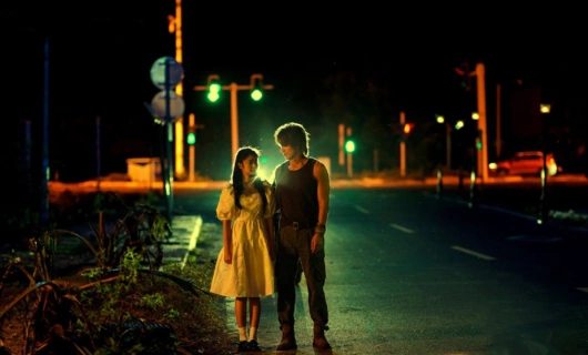 Летние цветы 9 серия