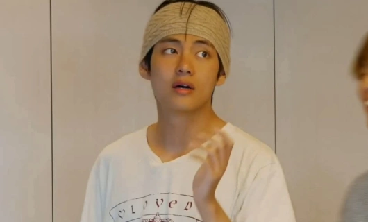 BTS Бон Вояж 4 сезон 8 серия