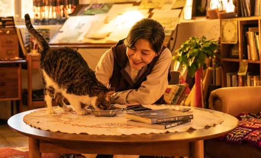 Дневник путешествий Пак Ха Гён 4 серия