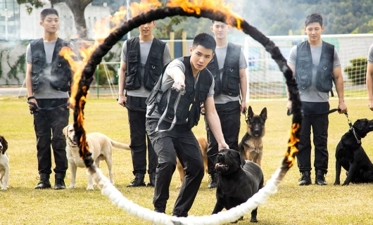 Свидание с будущим 10 серия