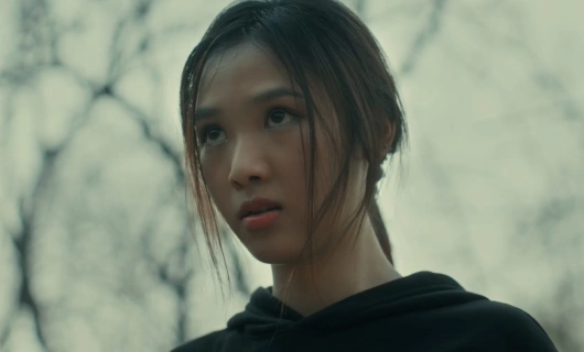 Домашняя школа: ученики под арестом 17 серия