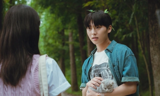 Мерцающий арбуз / Сверкающий арбуз 14 серия «Вы снимаете фильм?»