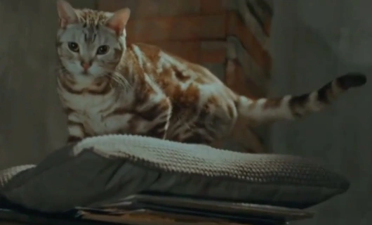 Когда дьявол зовёт тебя по имени 7 серия