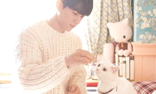 Мяу, таинственный парень 2 серия