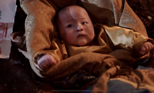 Союз благородных 25 серия