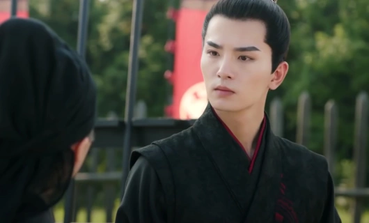 Леди генерала 5 серия