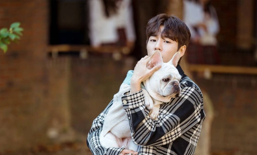 Отличный день, чтобы стать собакой 4 серия «Не хотели бы вы встретиться со мной снова?»