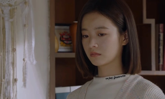 Циншань в подлунном свете живописна 17 серия