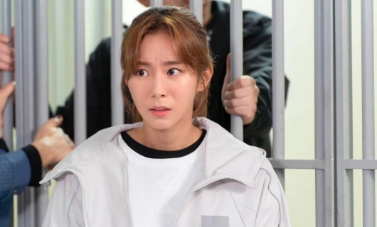 Независимая жизнь Хё Сим 23 серия