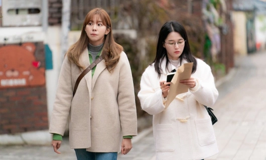 Независимая жизнь Хё Сим 41 серия