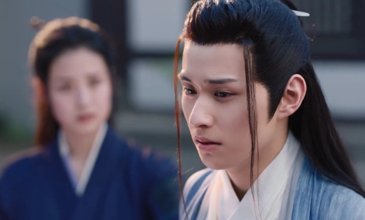 Генерал, я ваш покорный слуга 8 серия