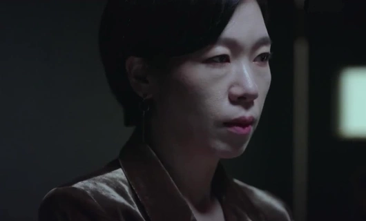 Когда цветёт камелия 17 серия