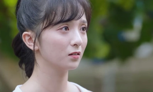 Роман в маленьком лесу 25 серия