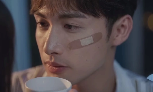 Роман в маленьком лесу 29 серия