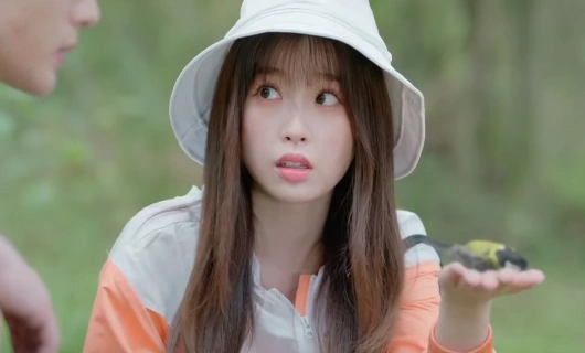 Роман в маленьком лесу 9 серия